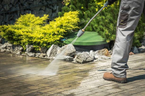 Best Winterizing Services  in Spring Valley Lake, CA